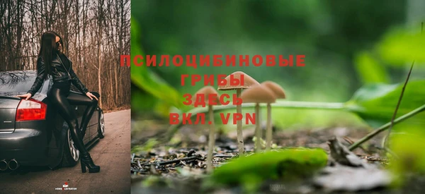 дмт Аркадак