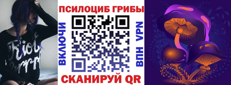 Купить  Омутнинск  Галлюциногенные грибы Magic Shrooms 